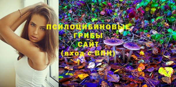 амф Алексин