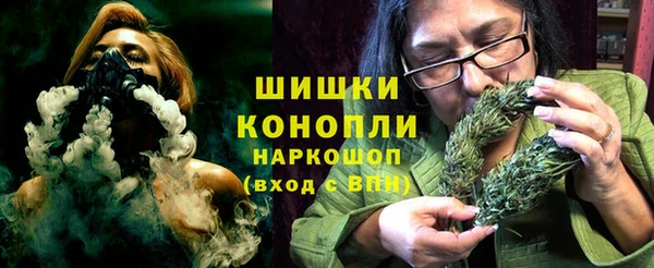 амф Алексин