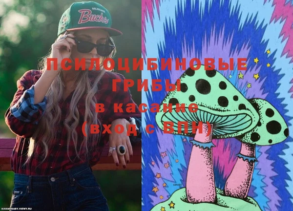 амф Алексин