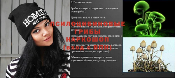 ALPHA PVP Алексеевка