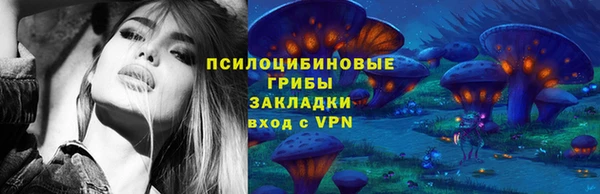 амф Алексин