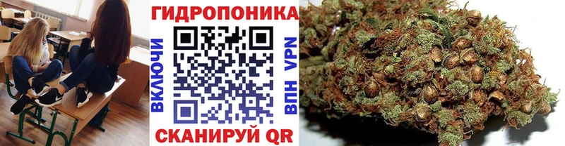 МАРИХУАНА семена  наркотики  Майский 